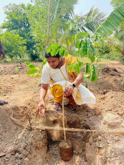 A volunteer plants a young sapling as part of SRP Foundation's Miyawaki afforestation drive.